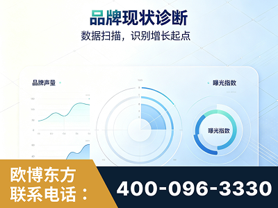 仁怀-品牌现状诊断