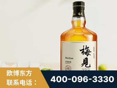 仁怀-梅见青梅酒